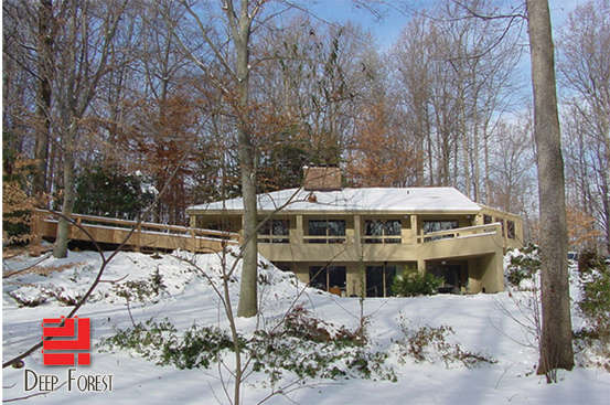 DeepForestWinter