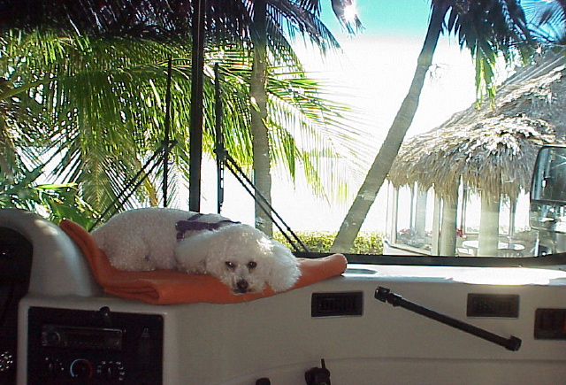 diz-hangin-out