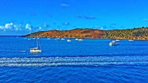 IMG_2933